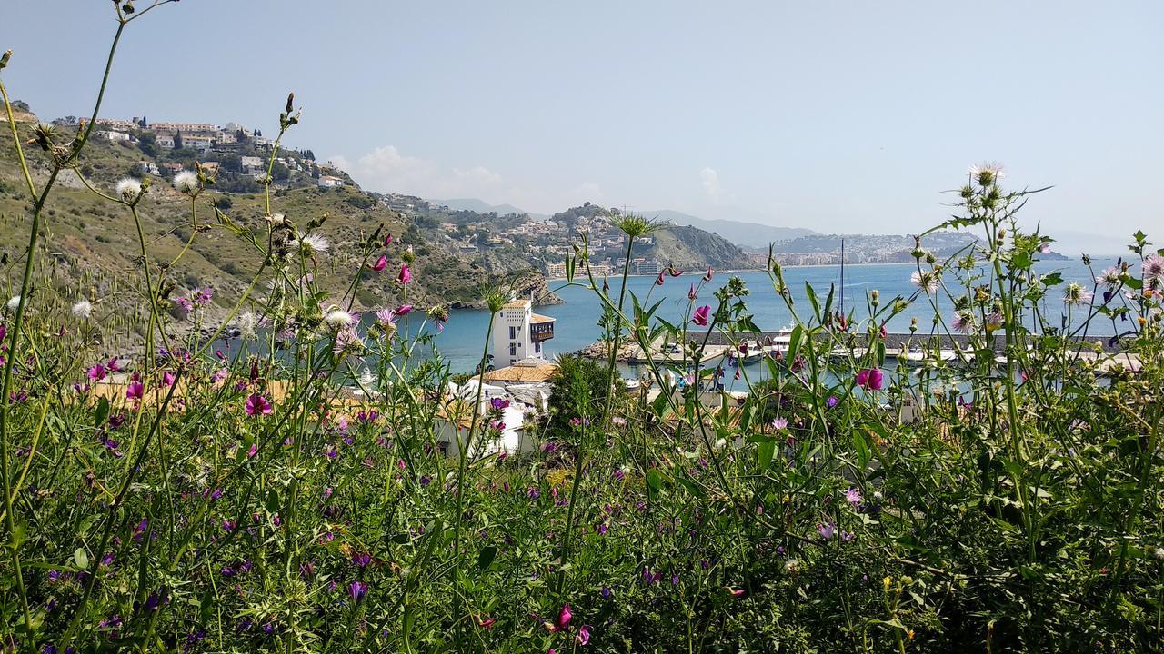 Lovely House With Views In Marina Del Este Almuñécar Екстериор снимка